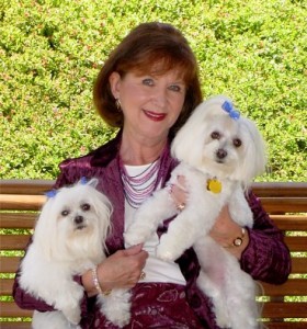 Claire Abel with her Maltese babies