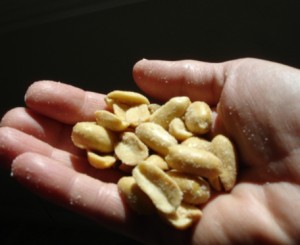 Handful of Peanuts Photo 