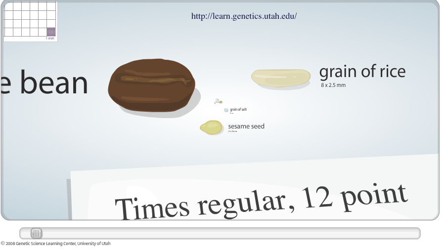 Avadian's Musings Fascinating Graphic of Cell Size