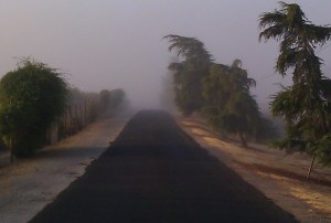 Photo by Brenda Avadian - Morning Fog in Paso Robles Wine Country