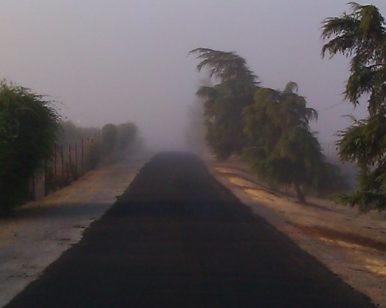 Photo by Brenda Avadian - Paso Robles Fog