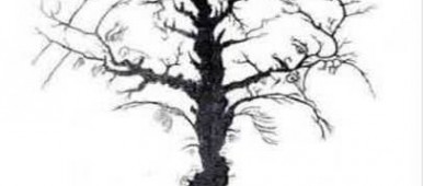 How-many-faces-do-you-see-in-this-tree