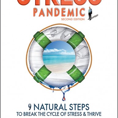 Stress Pandemic book by Paul Huljich