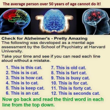 The Caregiver's Voice Humor - This is a CAT Mental Age test