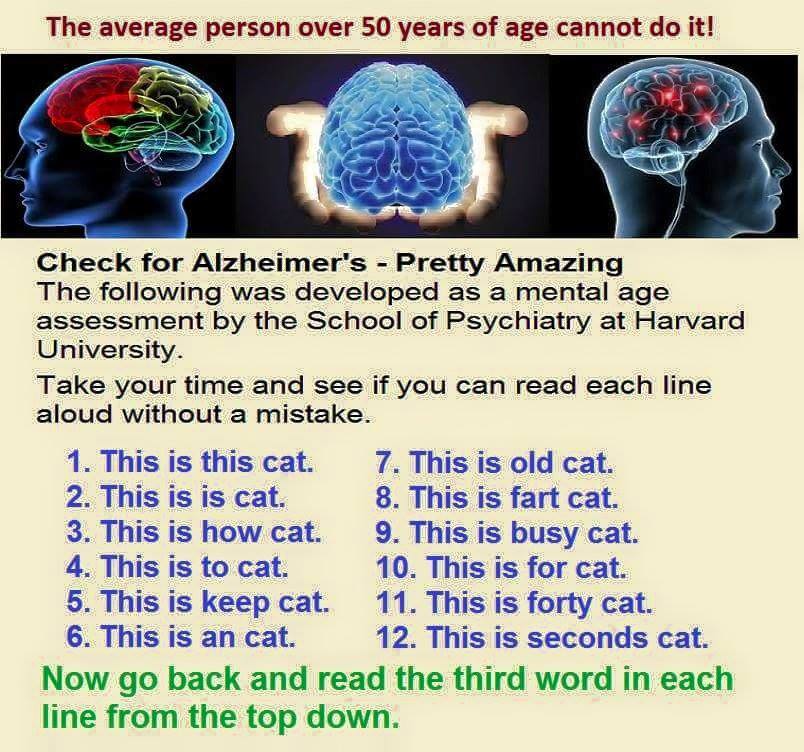 The Caregiver's Voice Humor - This is a CAT Mental Age Test