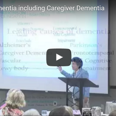The Leading Cause of Dementia is not Alzheimers