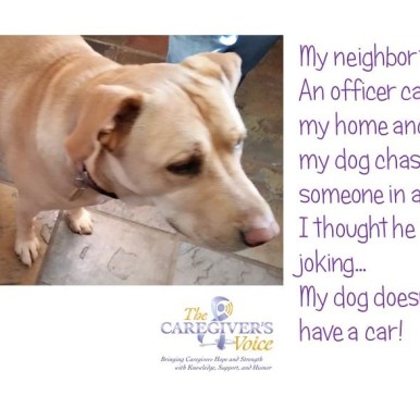 The Caregivers Voice Humor - Dog