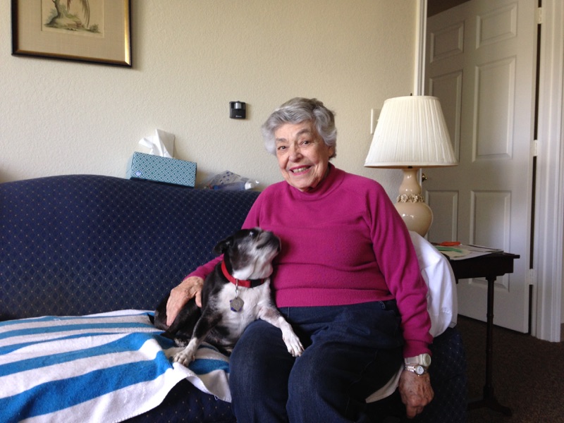  Jessica Bibbio - A woman and her canine companion