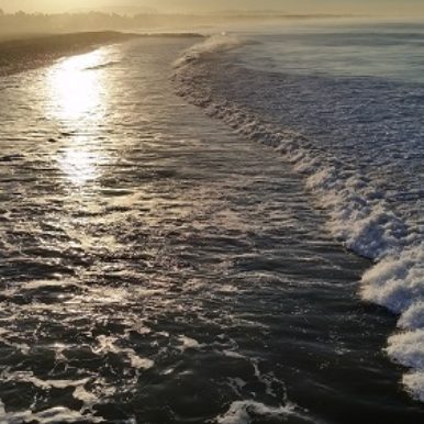 Avadian Photo Shoreline at Sunrise