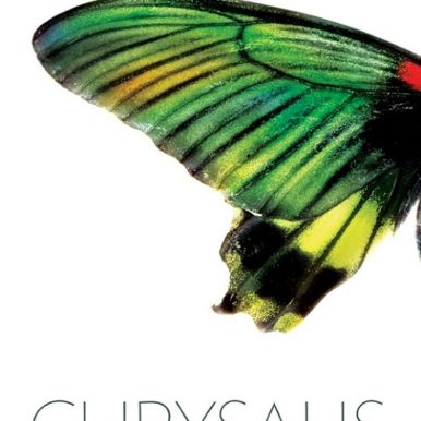 Chrysalis book cover image by Ann Vanino - TCV Review