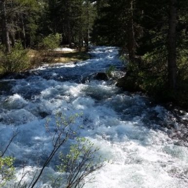 Water flowing - Avadian photo of the river of life