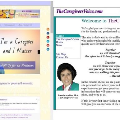 The Caregivers Voice Homepages in 2017 Dec 29 and 2002 Nov 25