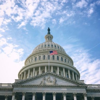USAgainstAlzeimer's Image of State Capitol w U.S. Flag