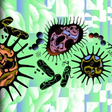 Ariel Davis illustration for NPR article on Alzheimer's germ