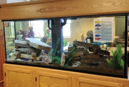 Bell Tower Residence Dining area Fishtank Merrill WI-TCV