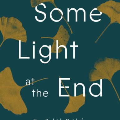 Beth Cavenaugh, RN Some Light at the End - Hospice book