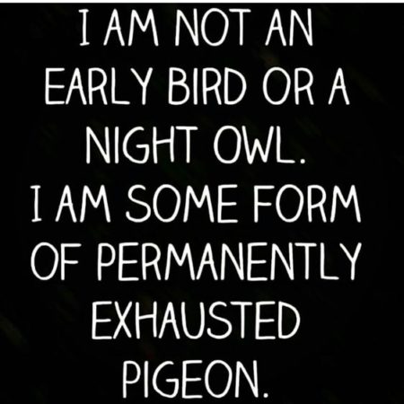 I am not an early bird or a night owl... 