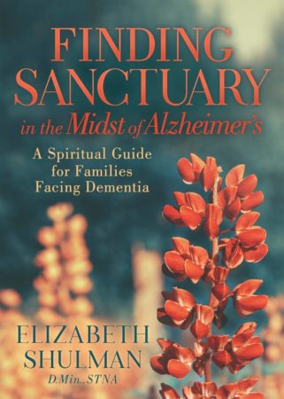 Finding Sanctuary book cover by Elizabeth Shulman