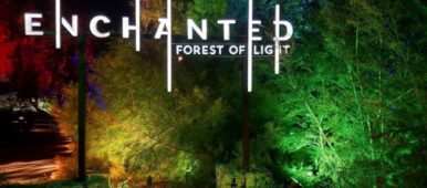 Descanso Gardens_Enchanted Forest of Light-Avadian photo