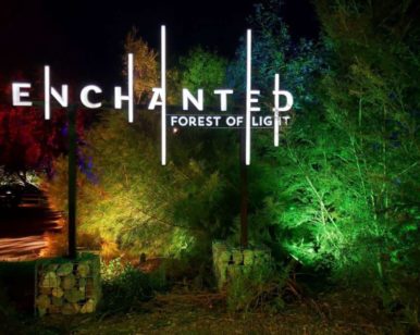 Descanso Gardens_Enchanted Forest of Light-Avadian photo