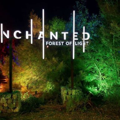 Descanso Gardens_Enchanted Forest of Light-Avadian photo