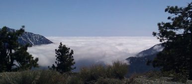 Heaven-Above-the-Clouds-Mt-Baden-Powell-tcv