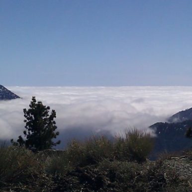 Heaven-Above-the-Clouds-Mt-Baden-Powell-tcv