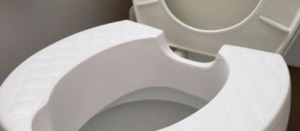 Earth Throne Toilet seat riser